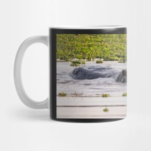 Hippos of Lake Manyara #3 Mug